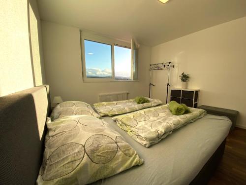  Apartment Säntisblick in Arbon von Swisspartments in Arbon
