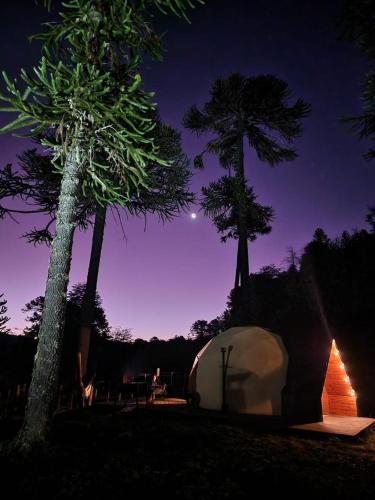 外部景觀, Domos Moquehue in 比利亞佩韋尼亞