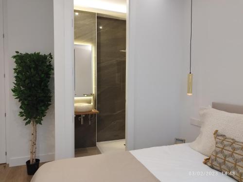 Luxury flat Centro IX