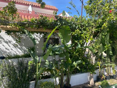 La Posada de Trafalgar