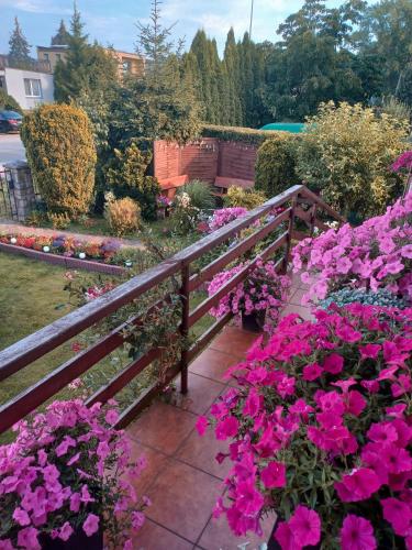 Loft Żuławy, apartament na wyłączność (Loft Zulawy, apartament na wylacznosc) in Nowy Dwor Gdanski