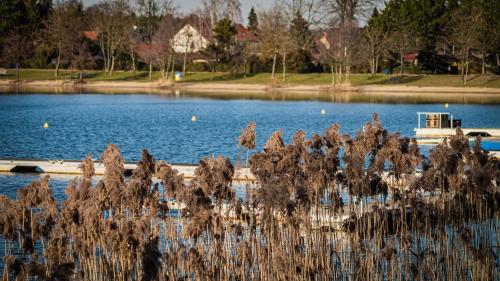 Ferienhaus Frieda Kiebitzsee in Falkenberg/Elster