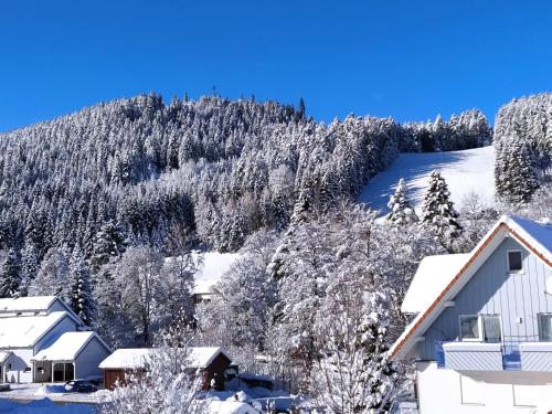 Ferienwohnung, Sauna & Gästekarte gratis im Schwarzwald