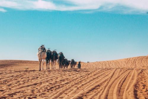 Mhamid Sahara Camp - Mhamid El Ghizlane