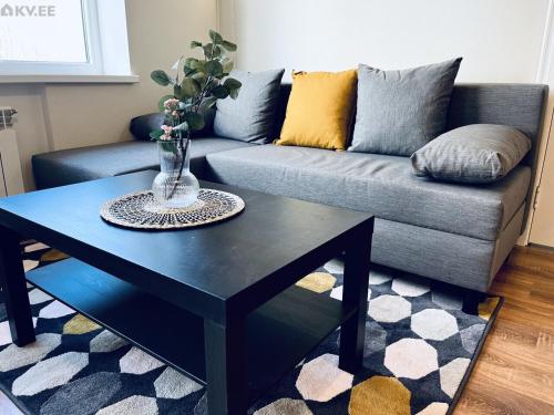Spacious 2-room Apartment near Code Jõhvi!