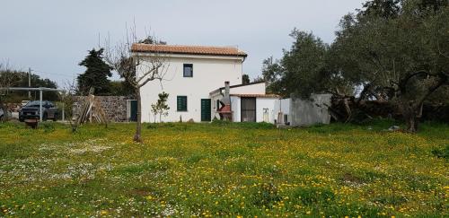 Casa Matilda - Abbasanta - Sardegna - IUN R4877