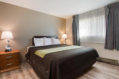 Rodeway Inn & Suites Hwy 217 & 26 W - image 11