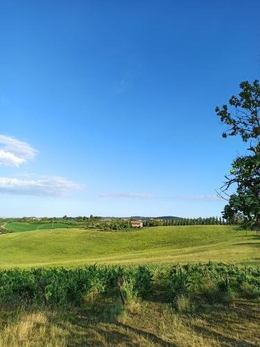 Agriturismo Vigliano Bio - image 2