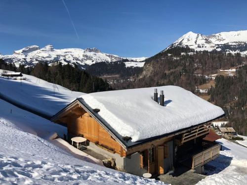 Boutique Chalet Panoramic Views Hot Tub in 萊塞派