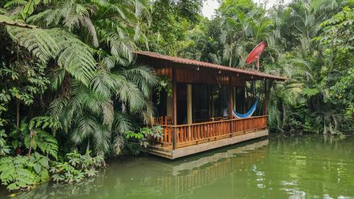 Cabañas del Lago