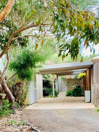 그레이트 오션 로드 - 아폴로 베이 Marengo Beach Studios- Pet Friendly 4성급 게스트하우스 전망