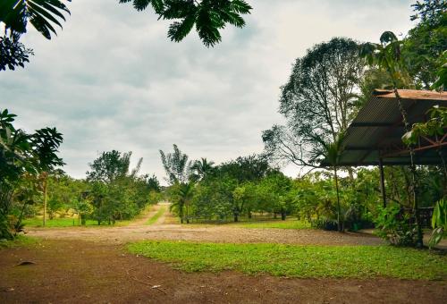 Arenal Descanso, Fortuna (photo 9)