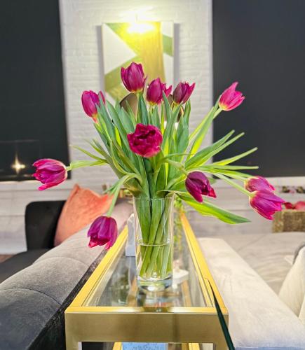 2br 2br Le Chateau 505 Lux penthouse in a Historic Building in Utica, USA