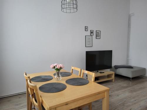 Apartament Vistula, Cracovie (photo 2)