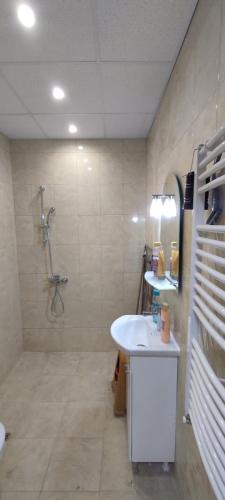 Luxury and stylish apartmen, metro station Obelya, Sofia (Foto 6)