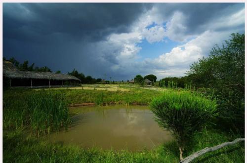 Jacaranda Bush Camp