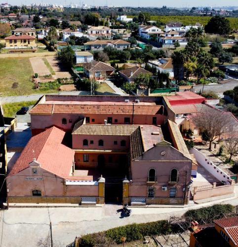 Casa Cortijo Olivar 1