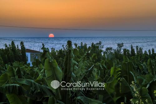 Impressive Villa Exclusive Sea Caves walk to taverns Sleeps 11 Ref 507, Peyia (Foto 6)