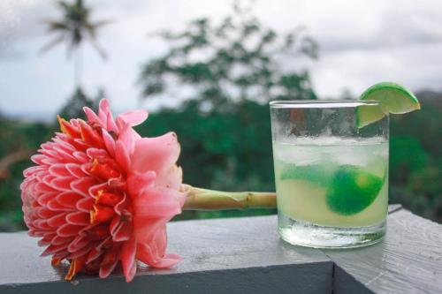 Bar/lounge, Casa Cantagalo - Guest House & Bar Restaurant in Vila Moura
