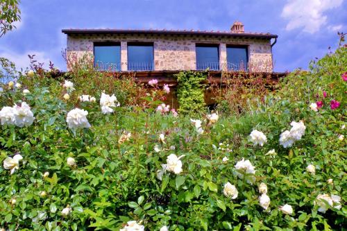  Villa Capanna by Mmega in Luia