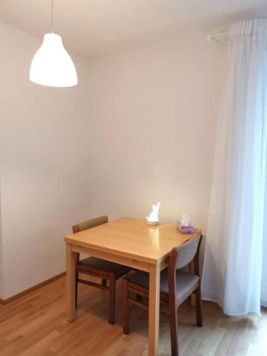 Gemütliches Privatzimmer in geräumiger Gemeinschaftswohnung, Drážďany (fotografie 8)