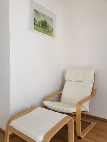 Gemütliches Privatzimmer in geräumiger Gemeinschaftswohnung, Drážďany (fotografie 7)