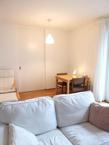 Gemütliches Privatzimmer in geräumiger Gemeinschaftswohnung, Drážďany (fotografie 6)