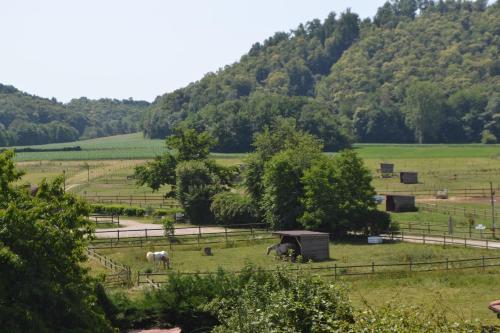 A környék, Maison 3 chambres, 3 SdB, terrasse, piscine, spa in Nivolas-Vermelle