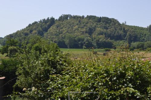 A környék, Maison 3 chambres, 3 SdB, terrasse, piscine, spa in Nivolas-Vermelle