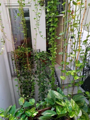 B&B Ai Tintori - image 2