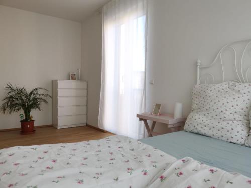 Gemütliches Privatzimmer in geräumiger Gemeinschaftswohnung, Drážďany (fotografie 9)