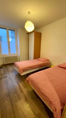 DANIELE, Strasburgo (foto 5)
