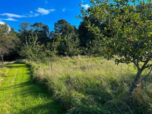 The Orchard, a family friendly home- hot tub, fire pit, yard games