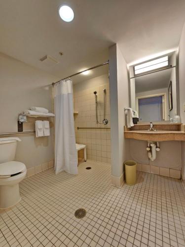 King Room with Sofa Bed and Roll-in Shower - Mobility and Hearing Accessible
