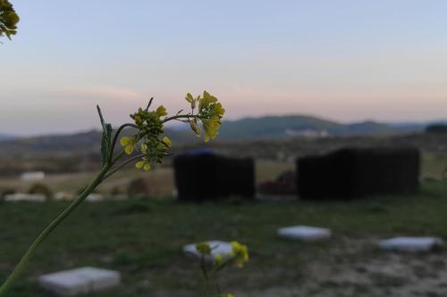 Ağva Jakuzili Dağ Evi