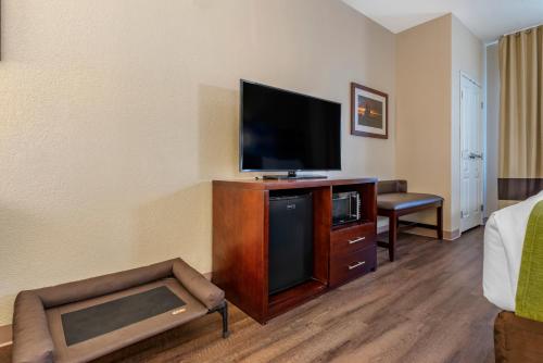 King Suite with Sofa Bed - Non-Smoking/Pet Friendly