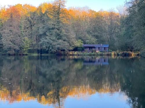 Chalet nature avec étang, terrasse et pêche No Kill - 2 chambres - FR-1-410-383 gîte à louer La Chapelle-du-Bois