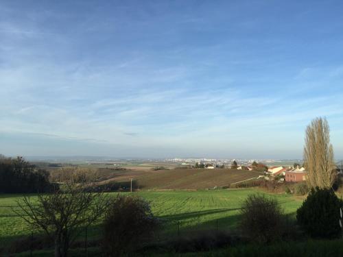 Villa Reims Epernay Champagne Vineyard