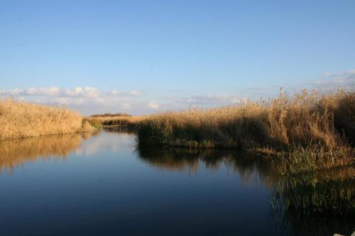 Azraq Lodge