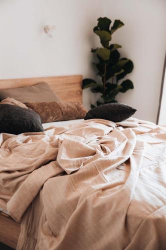 Indigo Seaside Experience