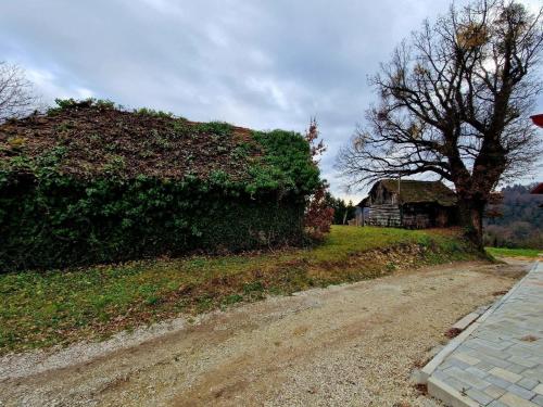 Holiday house with a parking space Sveti Ivan Zelina, Prigorje - 20725