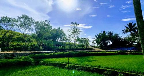 周辺案内, Sobral Rice Terraces View in ディミアオ