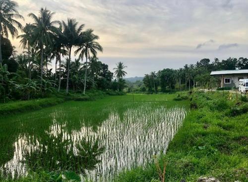 景色, Sobral Rice Terraces View in ディミアオ