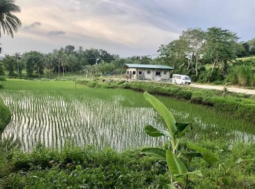 景色, Sobral Rice Terraces View in ディミアオ