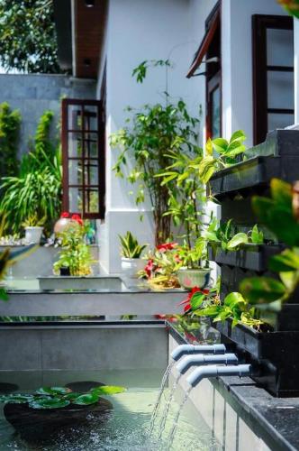 Chi Homestay #4 – Hue, WI