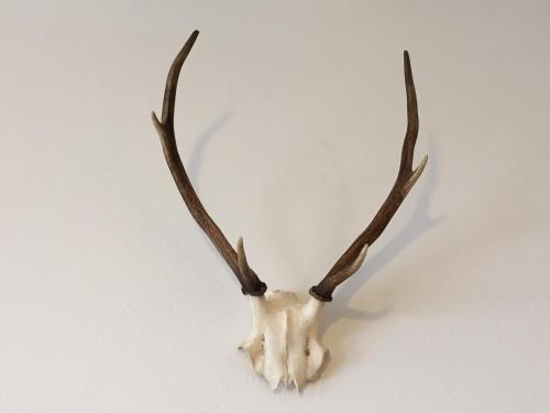 Foto - Hotel Alpenhof Postillion