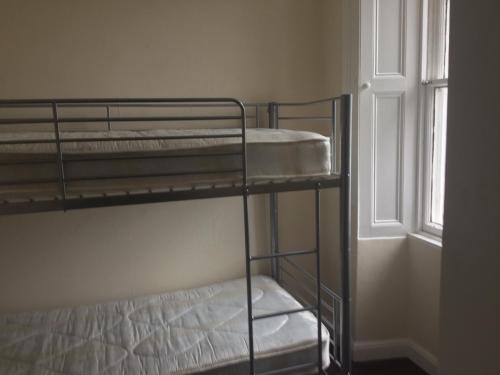 The Heights Bunkhouse Room Type - Bed in 4-Bed Mixed Dormitory Room