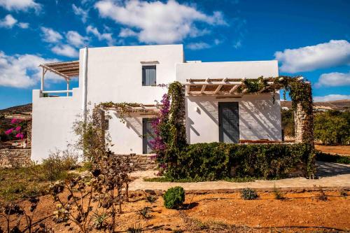 Statheros Garden 3