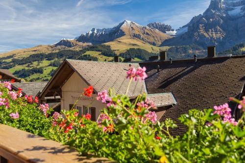 Vistas, Hotel Baeren in Adelboden