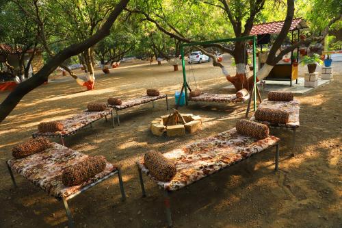 Gir Gandi - A Riverside Resort